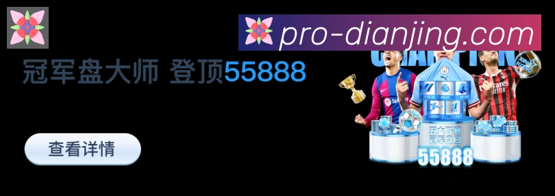 奖项2